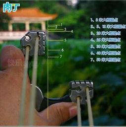 弹弓王邓飞虎视频,弹无虚发，揭秘弹弓射击的传奇人生