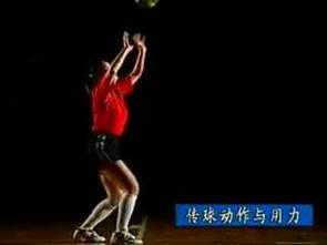 排球自垫球视频,视频教学带你轻松掌握