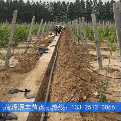 滴灌安装视频,轻松掌握高效灌溉技巧