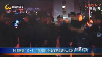 杀人视频网站,揭秘网络杀人视频网站的恐怖世界